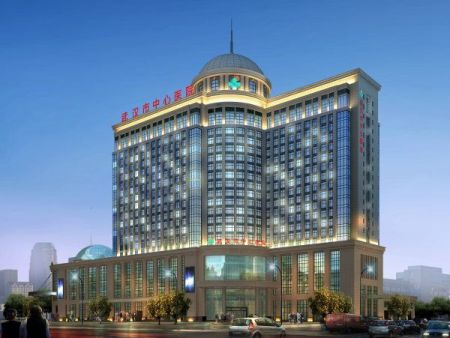 武汉中心医院 视频改造及公安接入